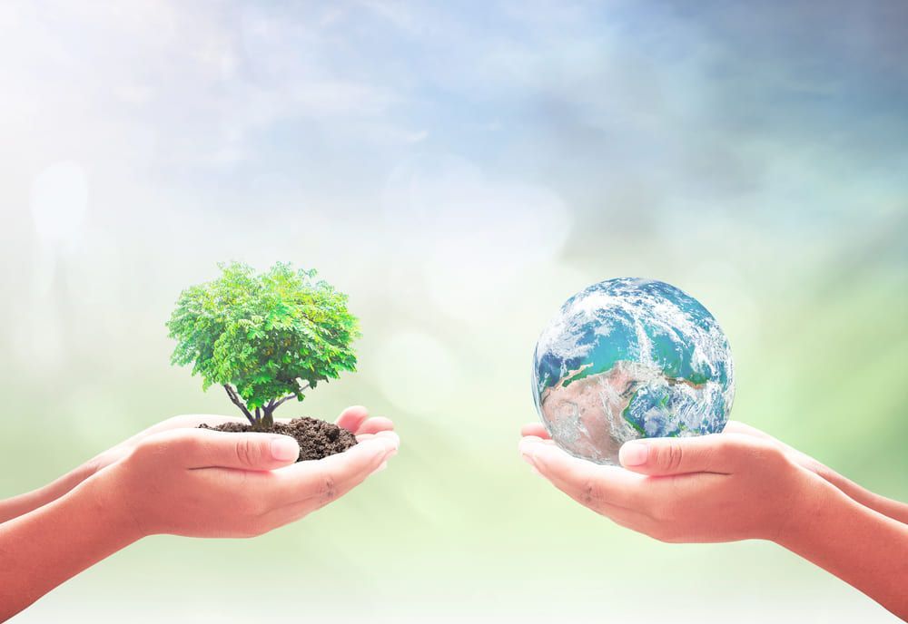 An image representing the value of eco-friendly solutions