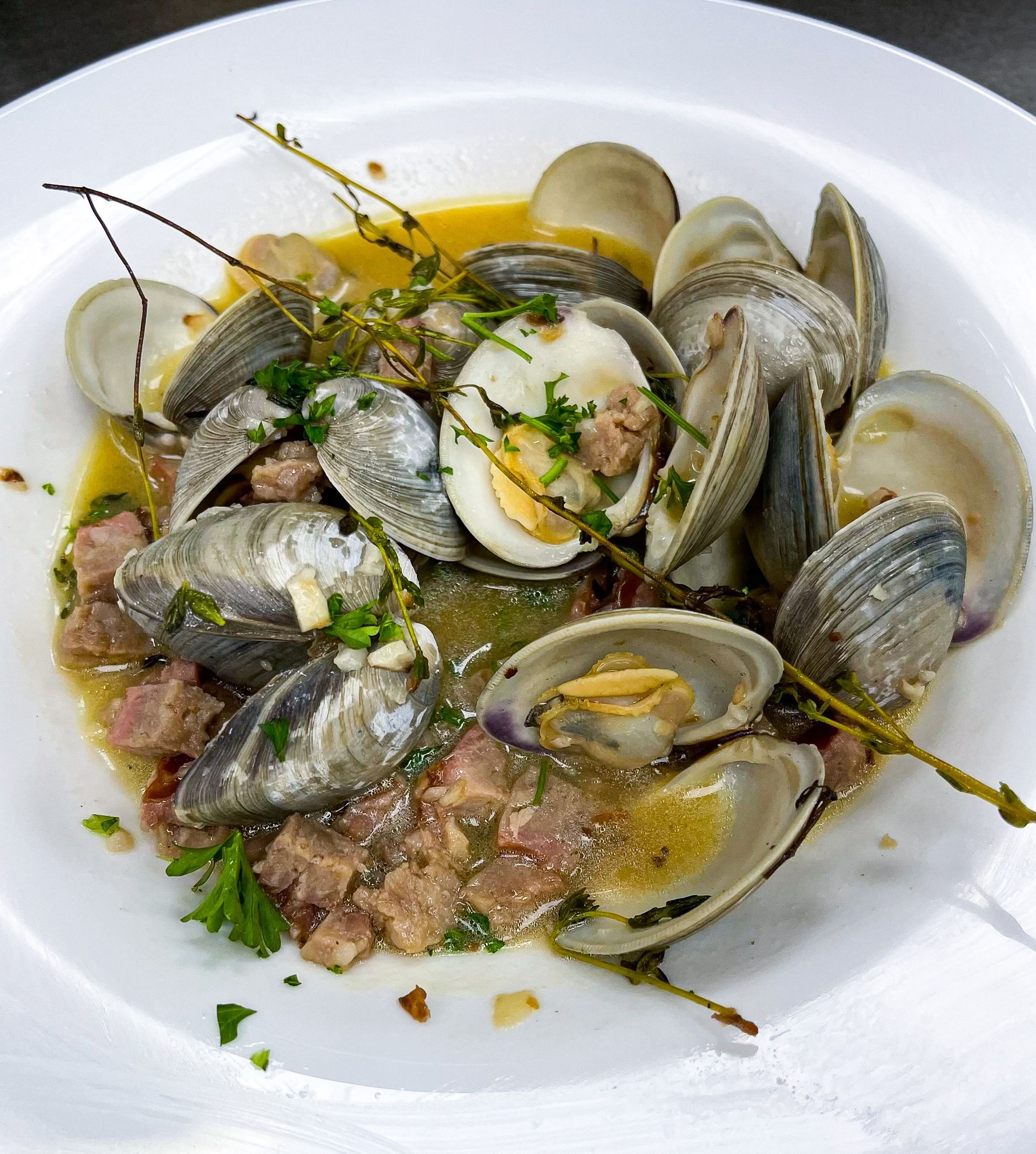 Clams in broth with herbs and diced meat on a white plate.