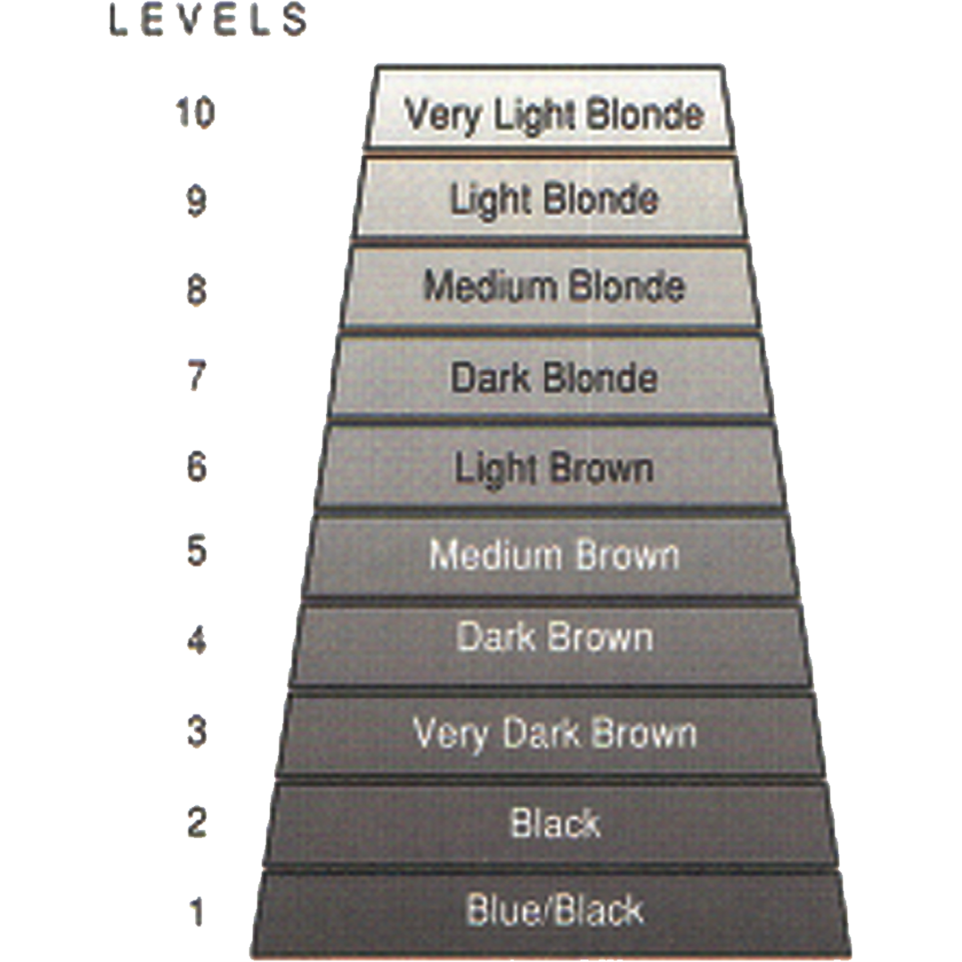 levels of hair