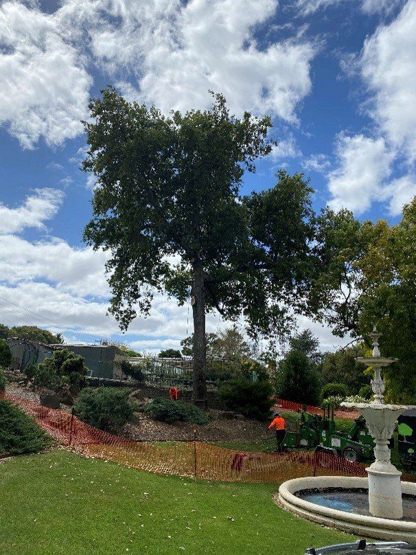 Commercial Services & Vegetation Management