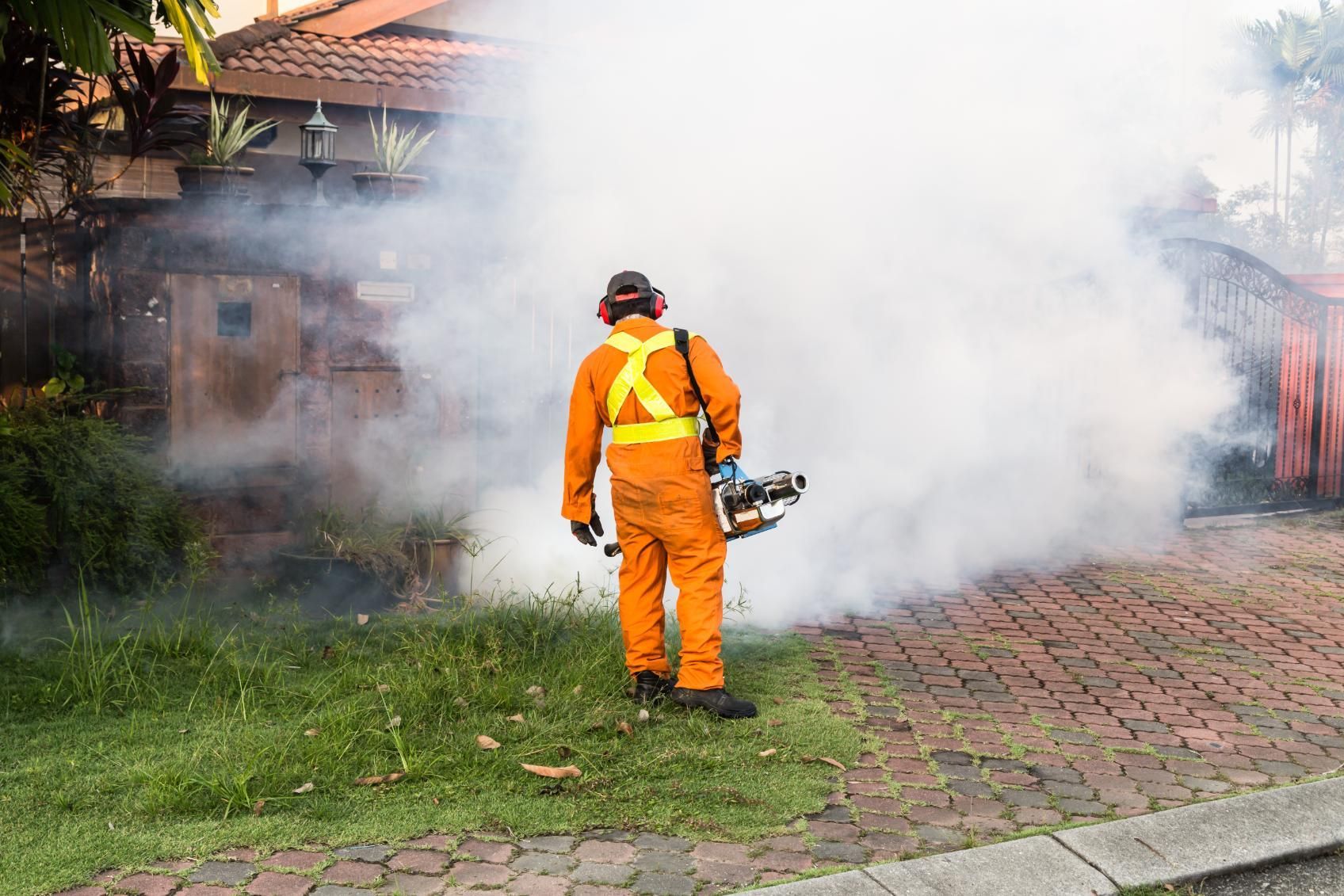 Person in protective suit spraying insecticide, creating a large white cloud in a residential area.