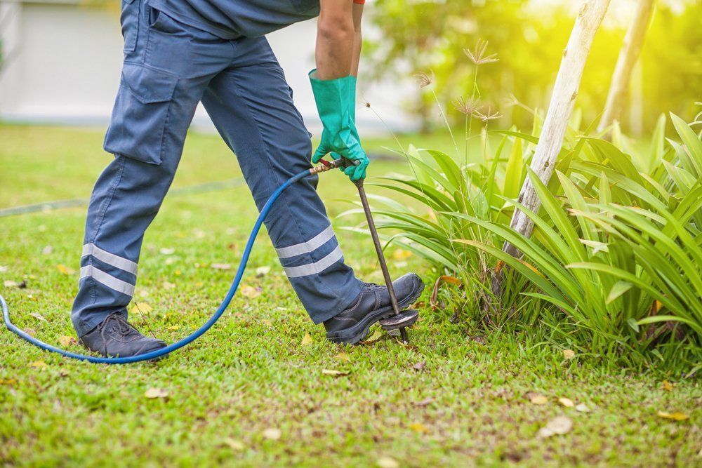 Tree & Garden Spraying — Monterey County, CA — Monterey Bay Pest Control Inc.