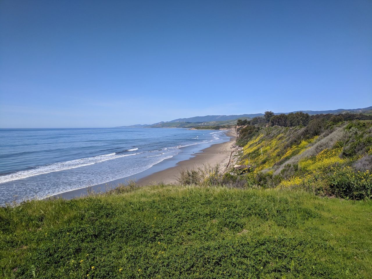 Marina — Monterey County, CA — Monterey Bay Pest Control Inc.