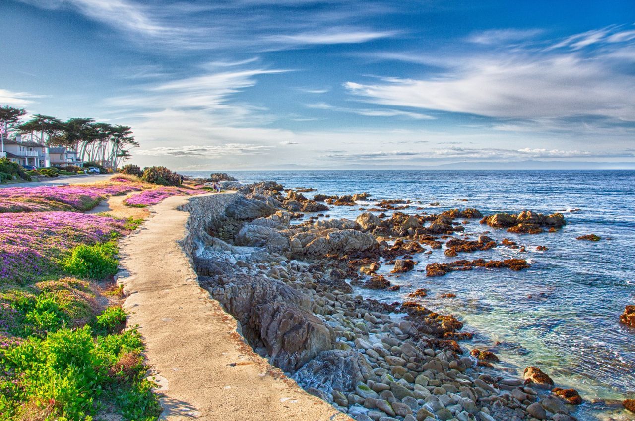Pacific Grove — Monterey County, CA — Monterey Bay Pest Control Inc.