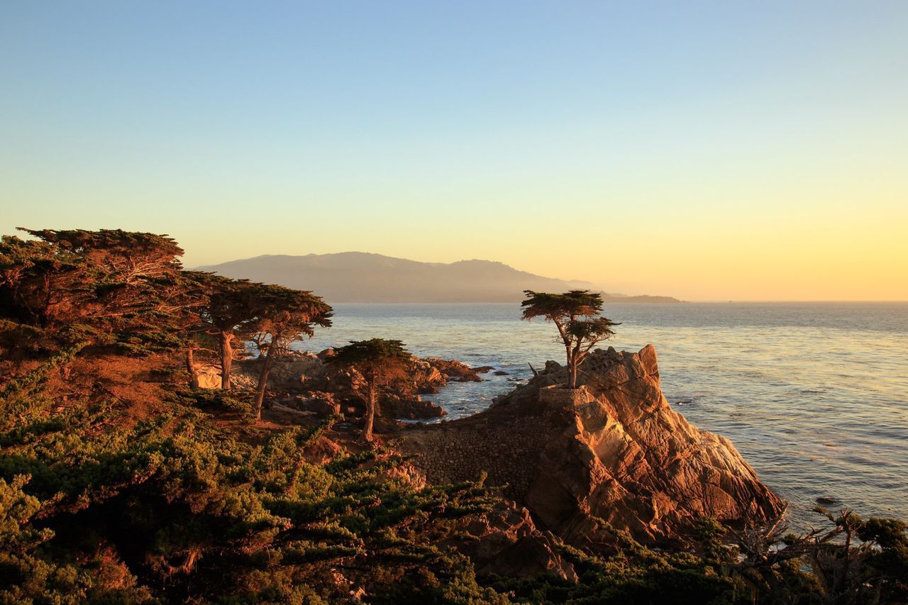 Pebble Beach — Monterey County, CA — Monterey Bay Pest Control Inc.