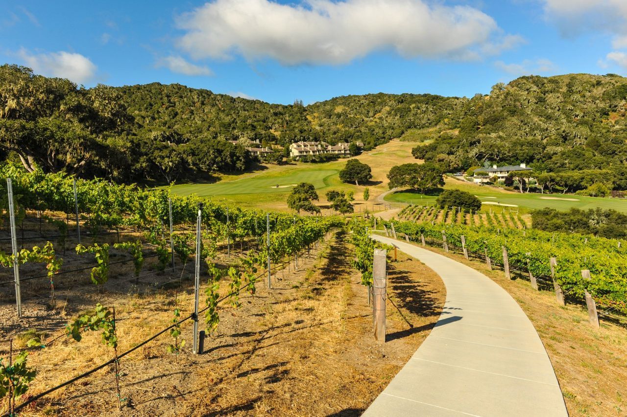 Carmel Valley — Monterey County, CA — Monterey Bay Pest Control Inc.