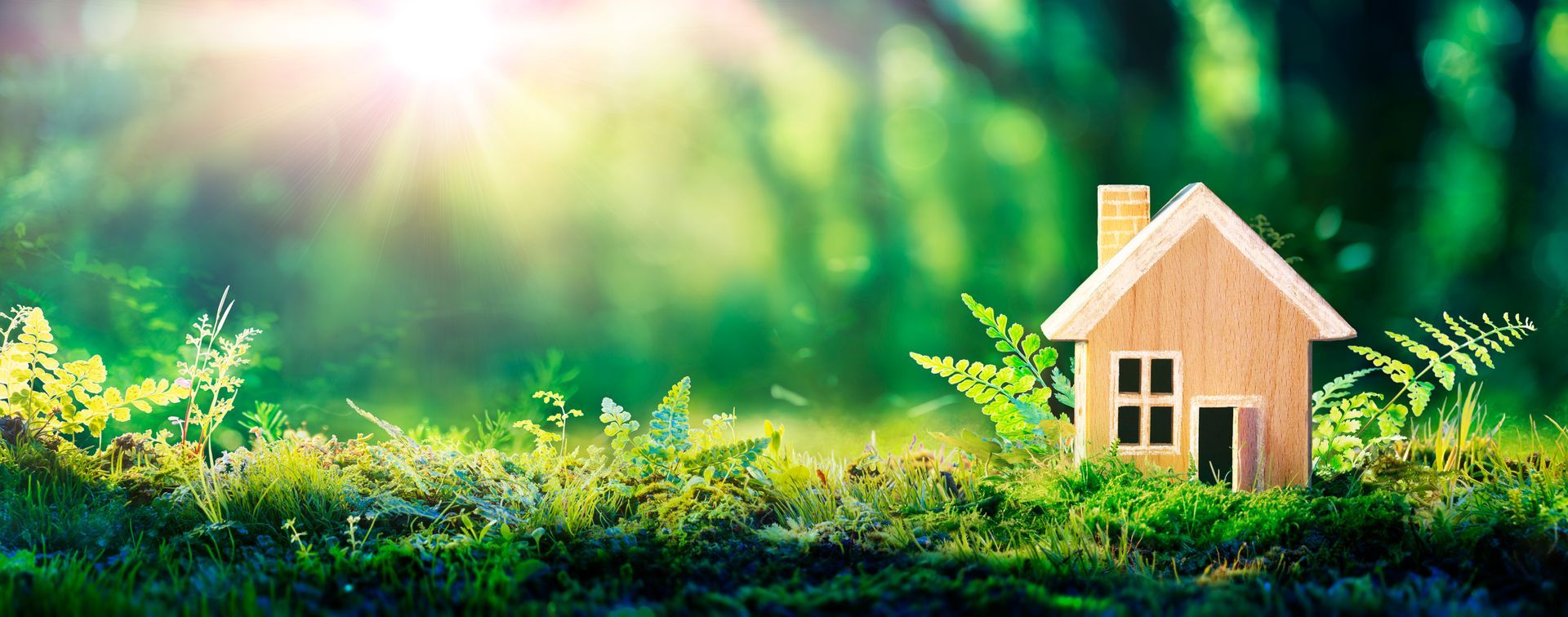 A small wooden house surrounded by green foliage and bright sunlight, creating a natural, inviting scene.