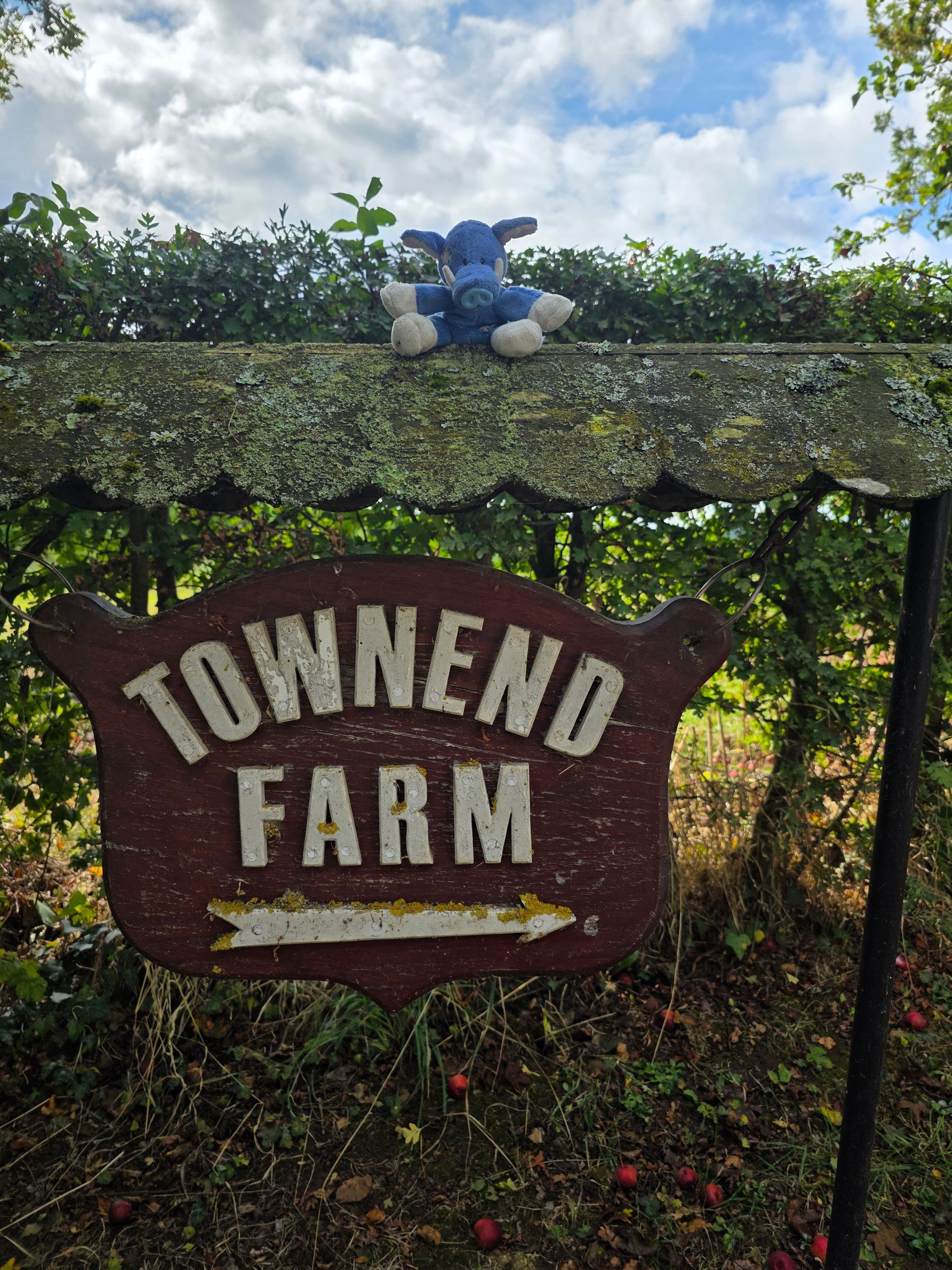 Towend Farm sign with a blue stuffed animal on top, set against a leafy backdrop under a partly cloudy sky.