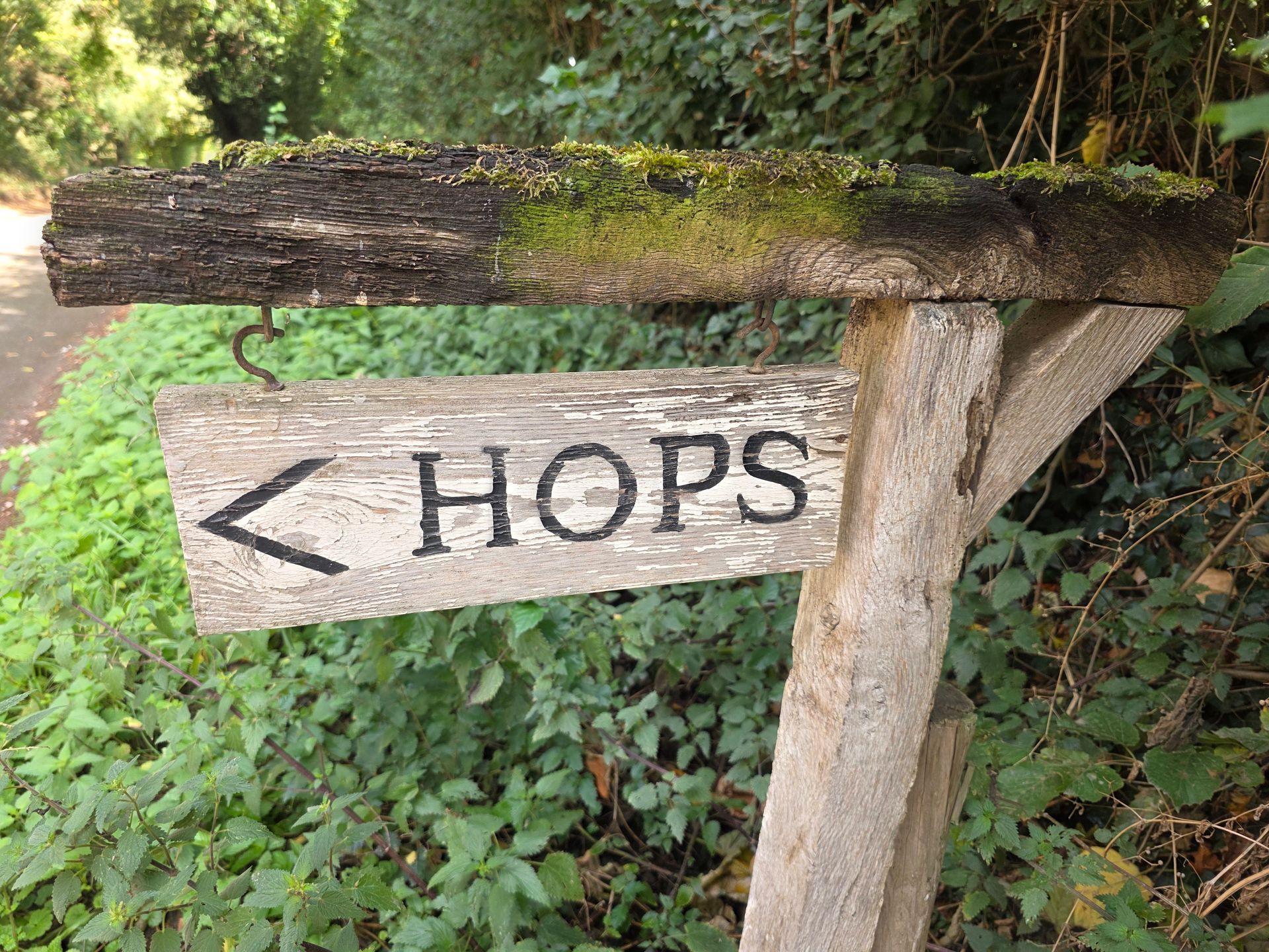 Wooden signpost pointing left towards