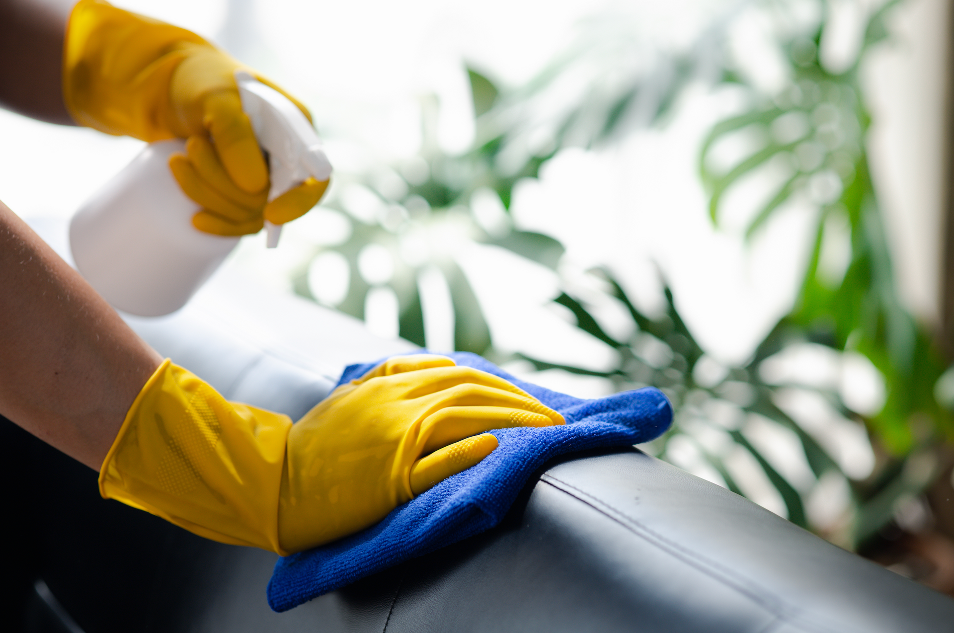 A person wearing yellow gloves is cleaning a couch with a cloth and spray bottle.
