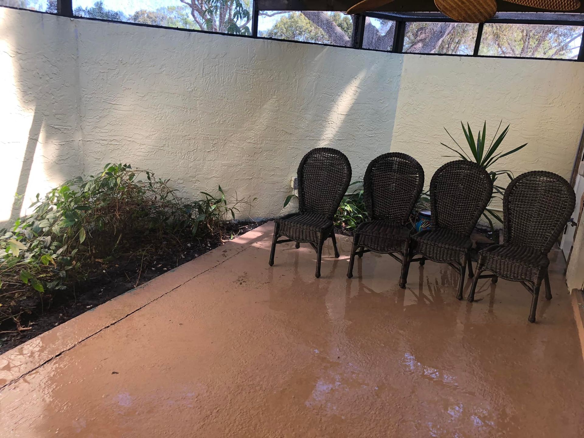 Pressure washing after | Tarpon Springs, FL | Tri County Power Washing