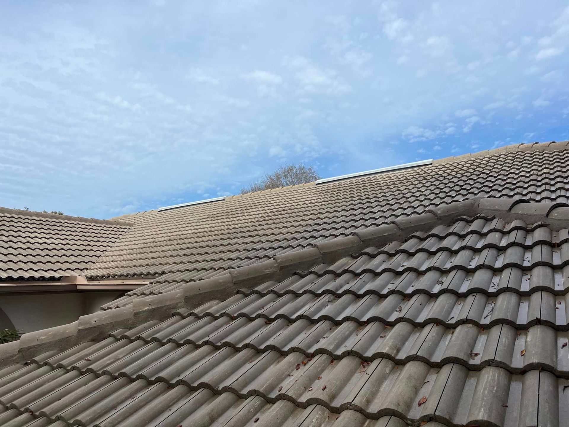 pressure washing | Palm Harbor, FL | Tri County Power Washing