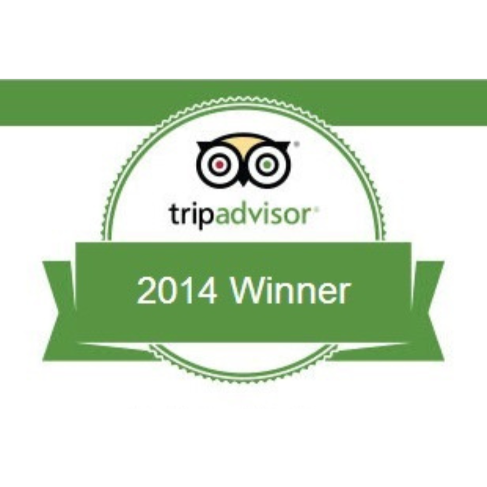 Tripadvisor 2014 Winner badge with green ribbon and owl logo