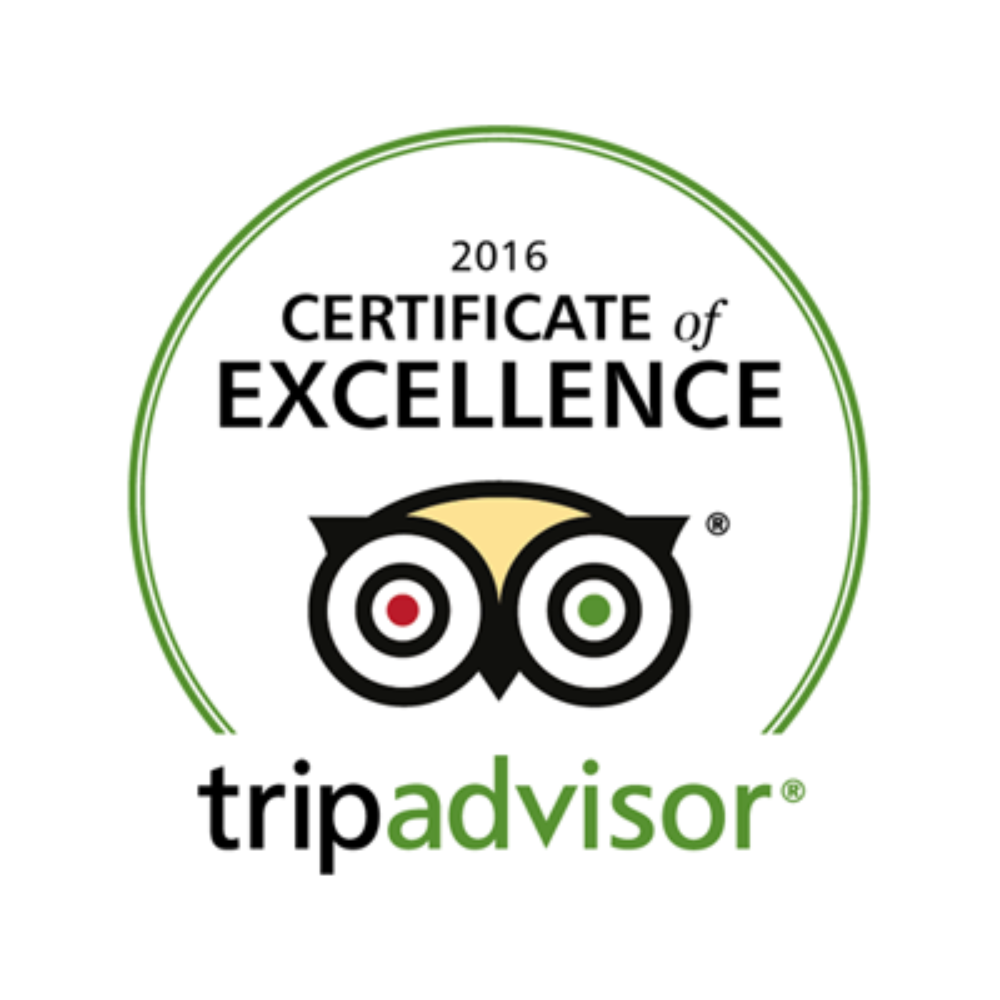 Tripadvisor 2016 Certificate of Excellence logo with green circular border and owl icon