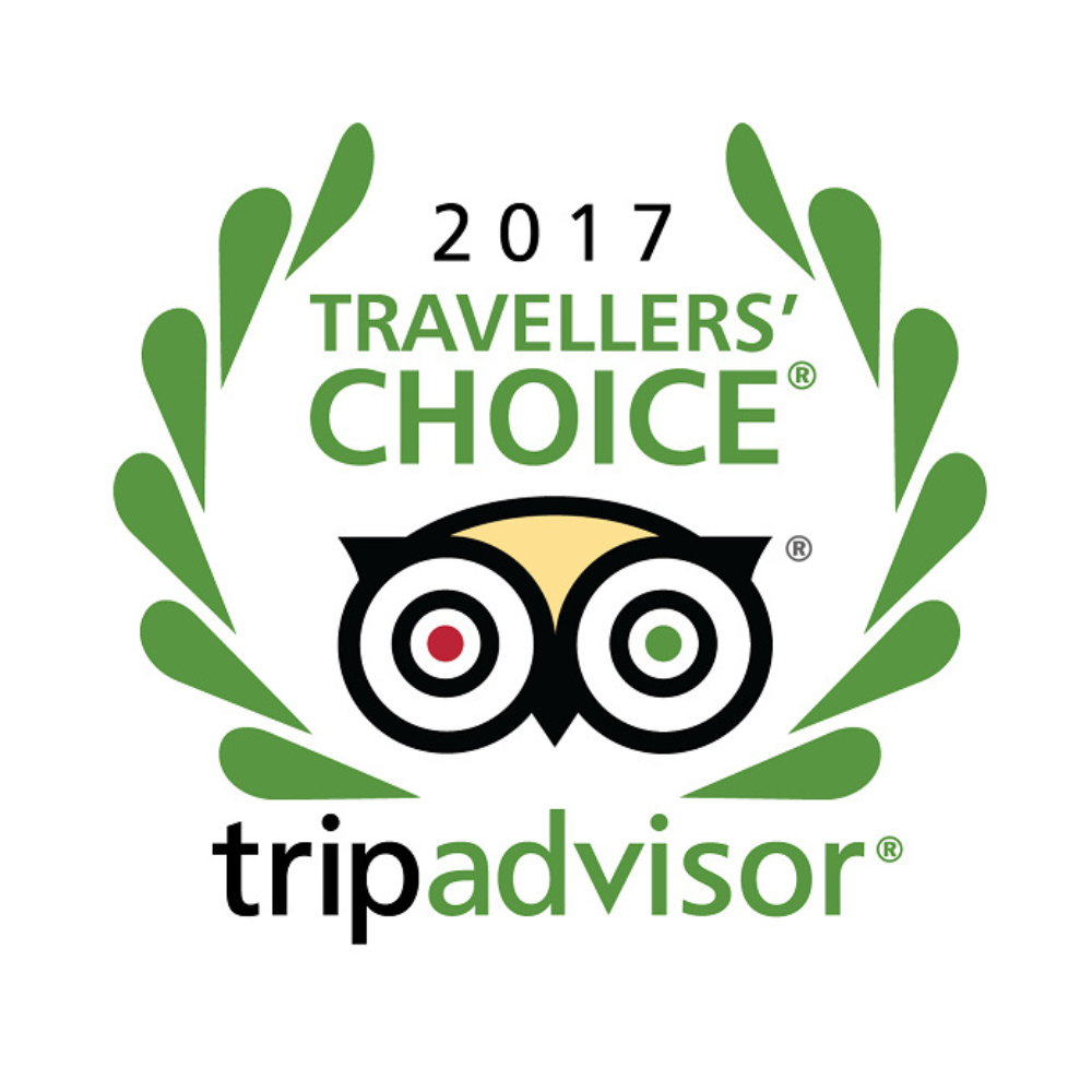 2017 TripAdvisor Travellers’ Choice award logo with green laurel and owl eyes icon