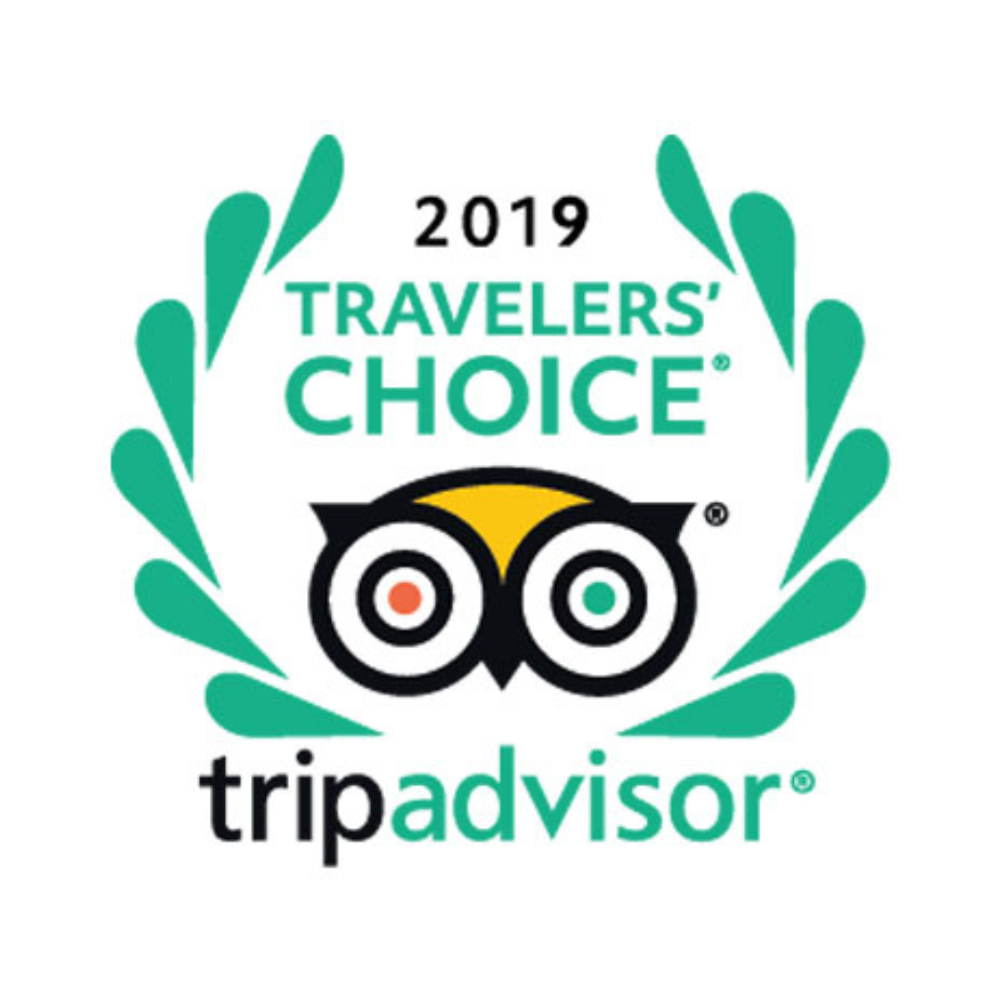 2019 TripAdvisor Travelers’ Choice award logo with teal laurel wreath and owl icon