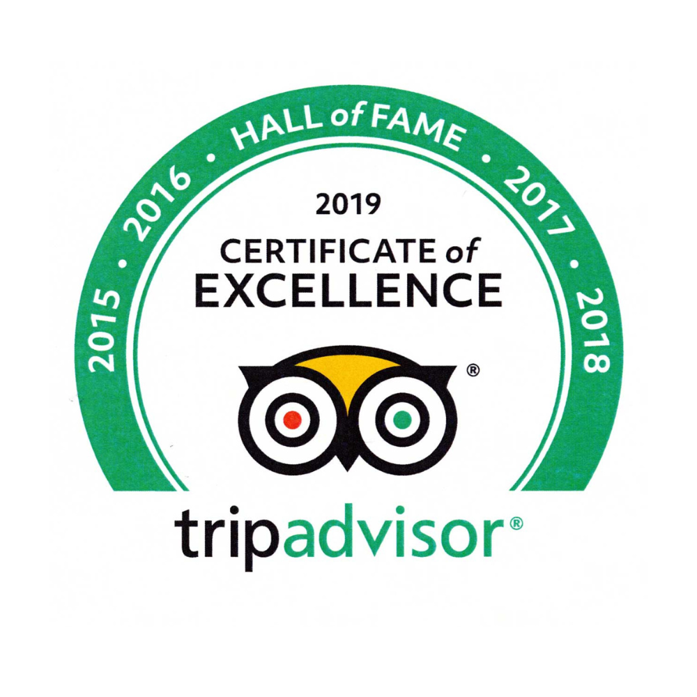 Tripadvisor 2019 Certificate of Excellence and Hall of Fame badge with green arc and owl logo