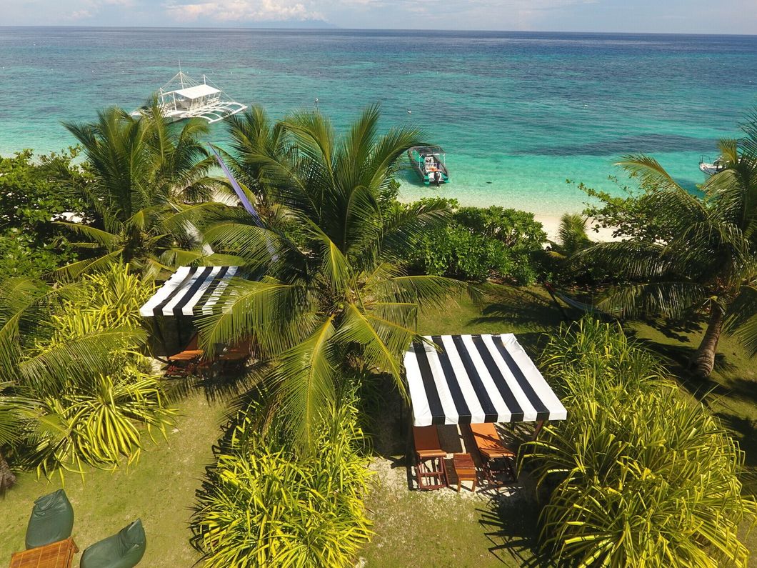 Tropical beachfront resort with palm trees, striped cabanas, and turquoise ocean beyond