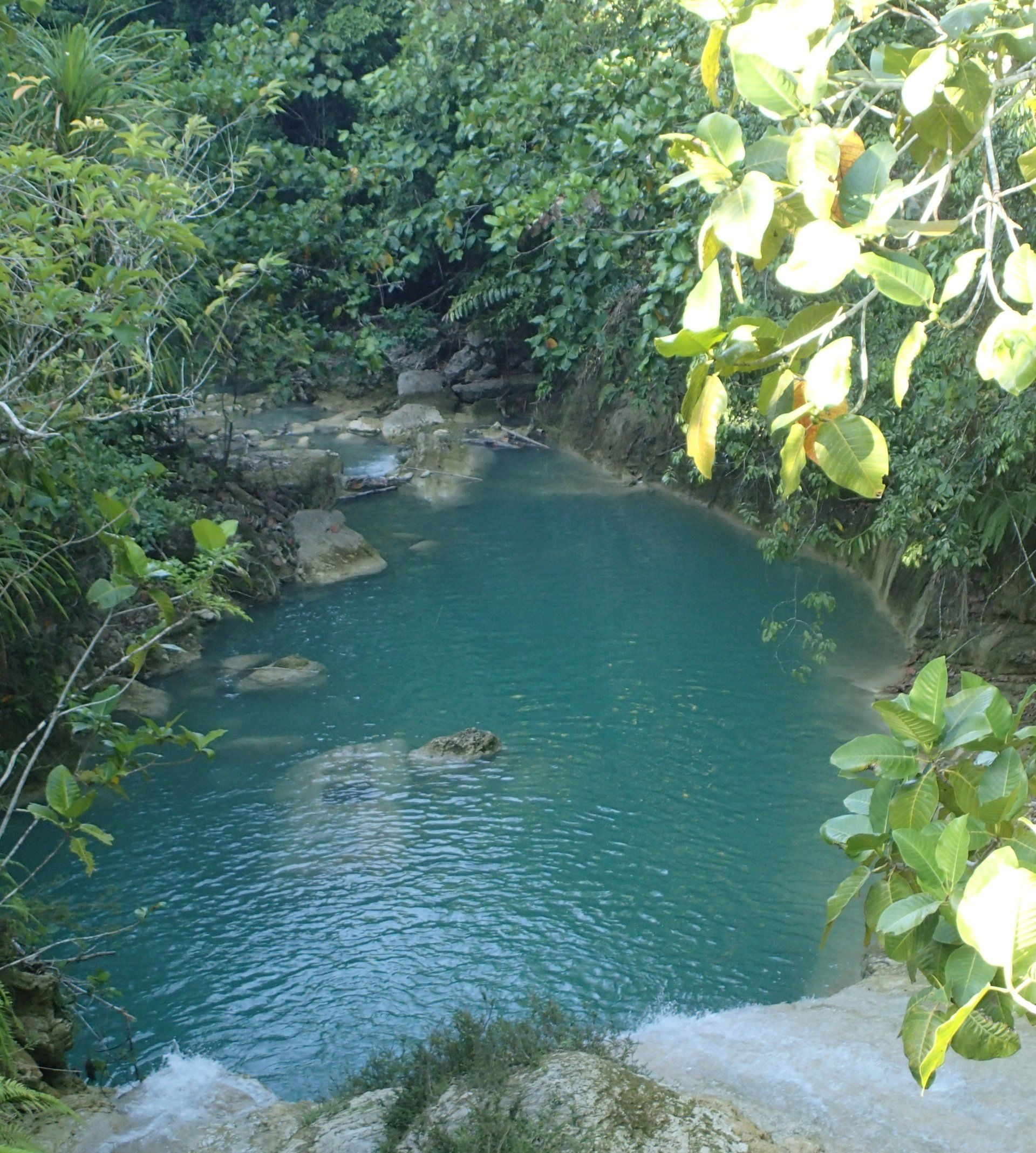 Turquoise natural pool surrounded by dense green foliage and rocks