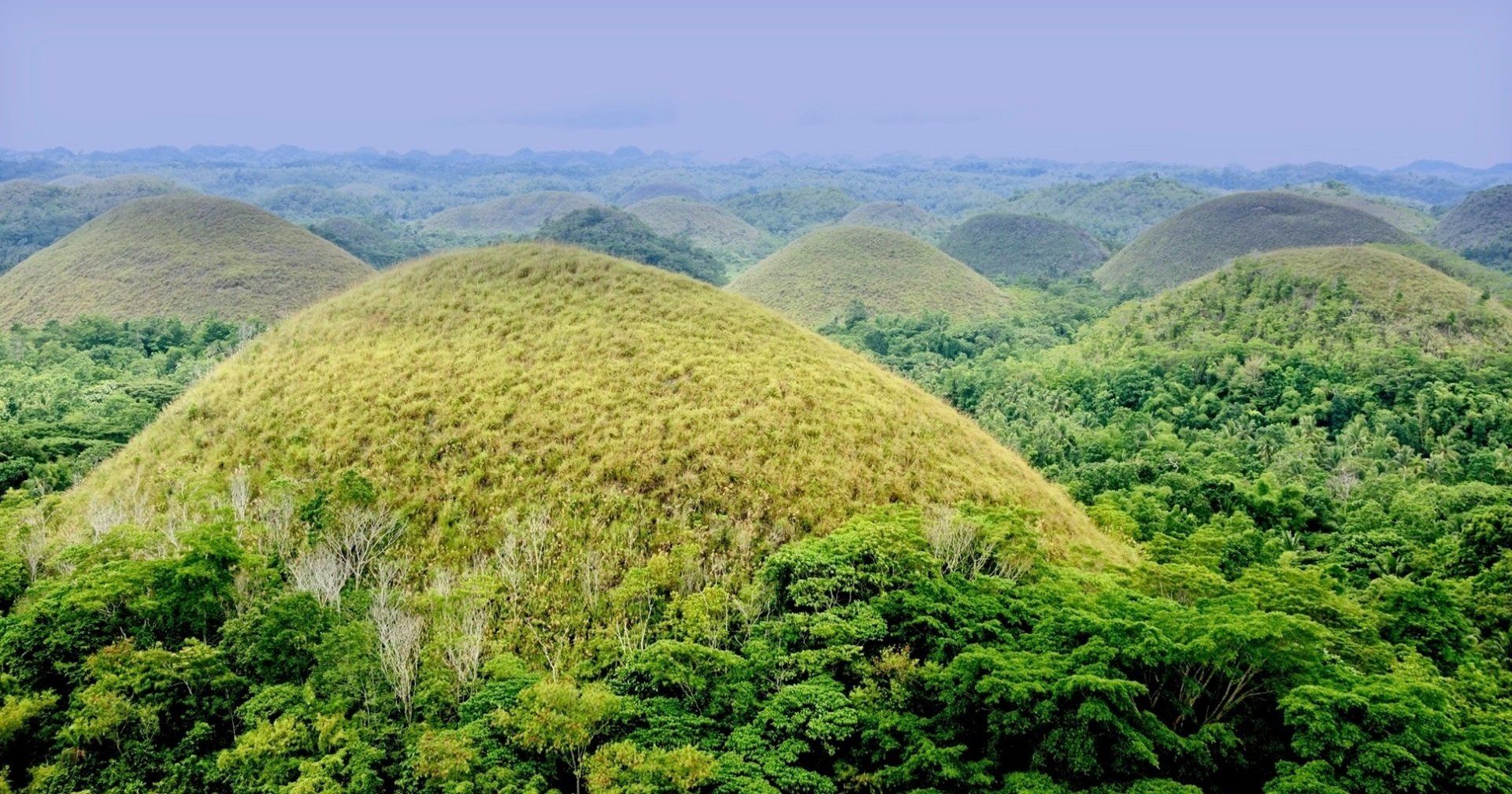 Lush green hills covered in dense vegetation under a hazy blue sky