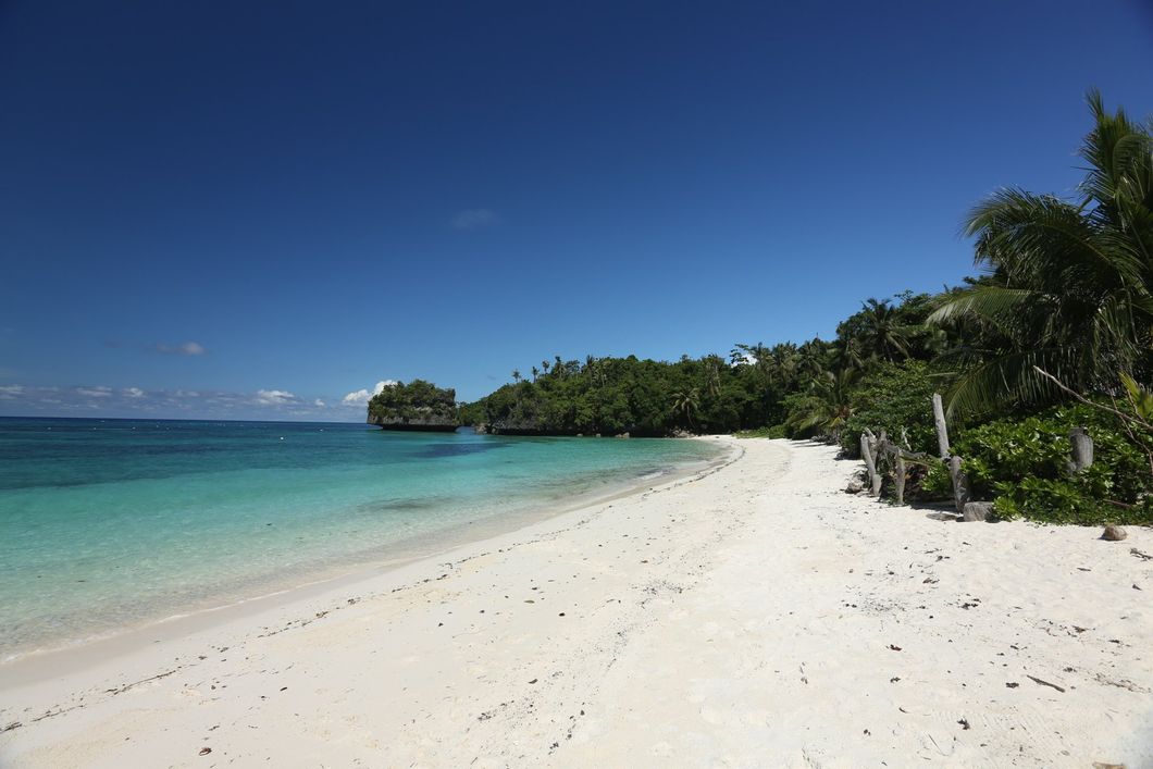 Sunny tropical beach with white sand, turquoise water, and palm trees under a clear blue sky
