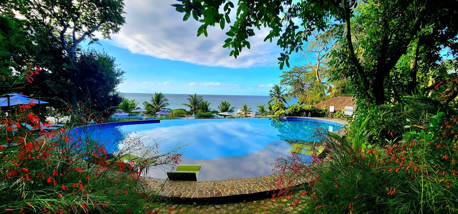 Tropical infinity pool overlooking a blue bay, framed by lush trees and colorful flowers