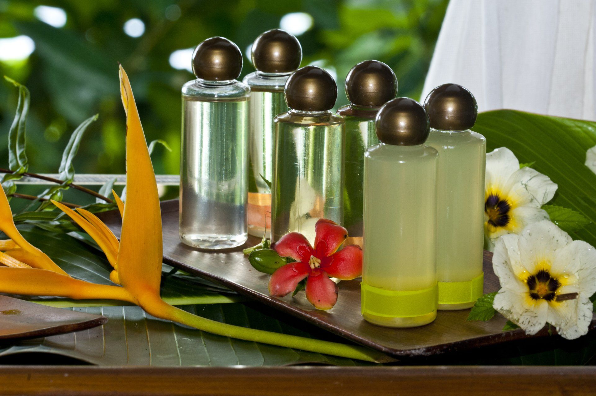 Spa bottles with flowers and tropical leaves on a tray