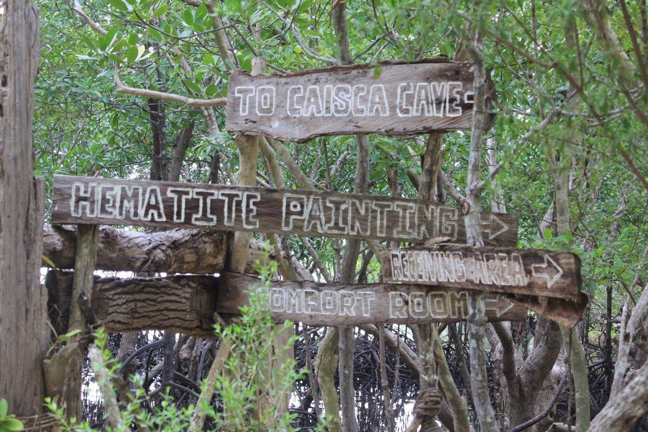 Weathered wooden trail signs in a forest, including Hematite Point and Rio Salsa Camp.
