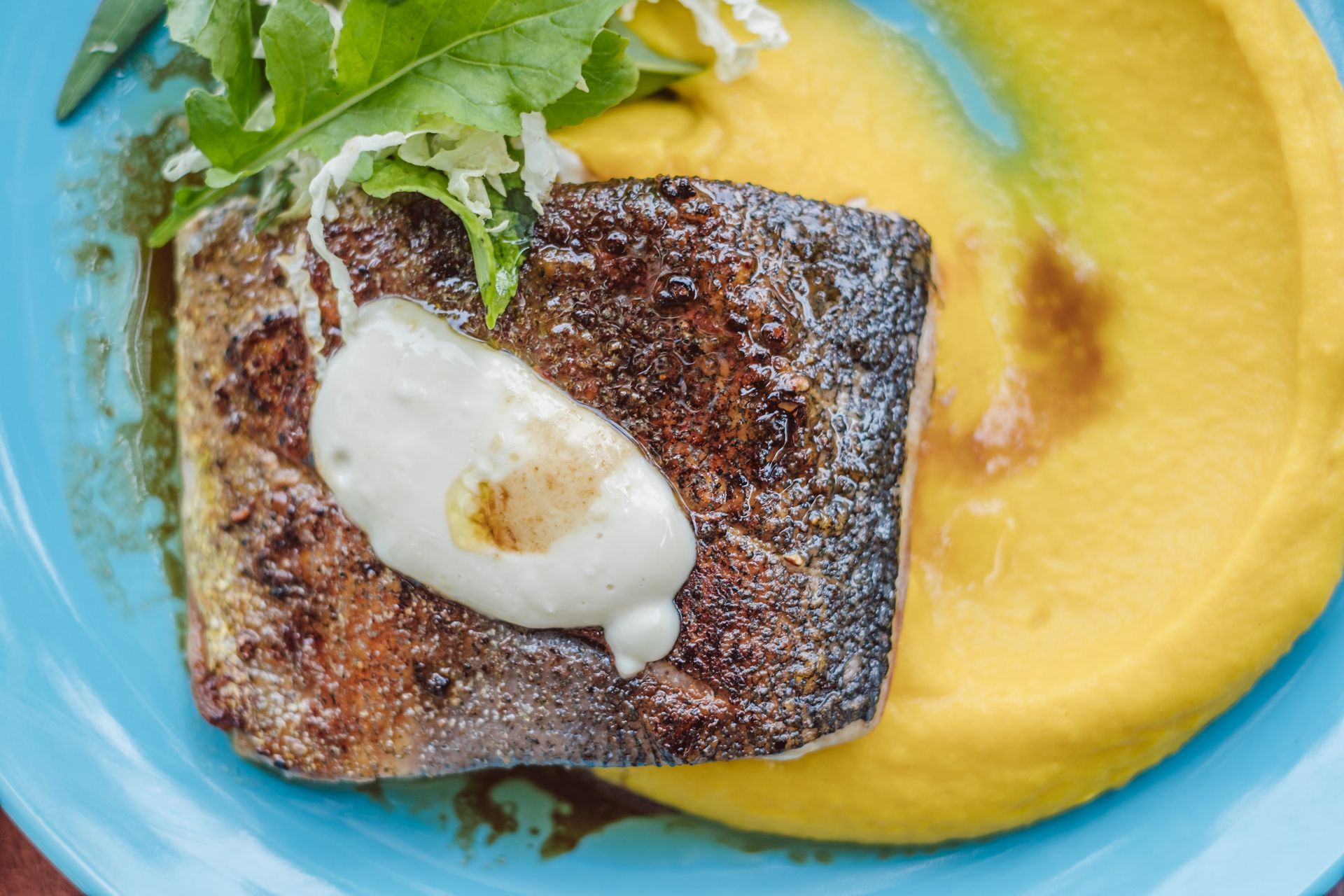 Seared fish on yellow purée with a dollop of sauce and greens on a blue plate