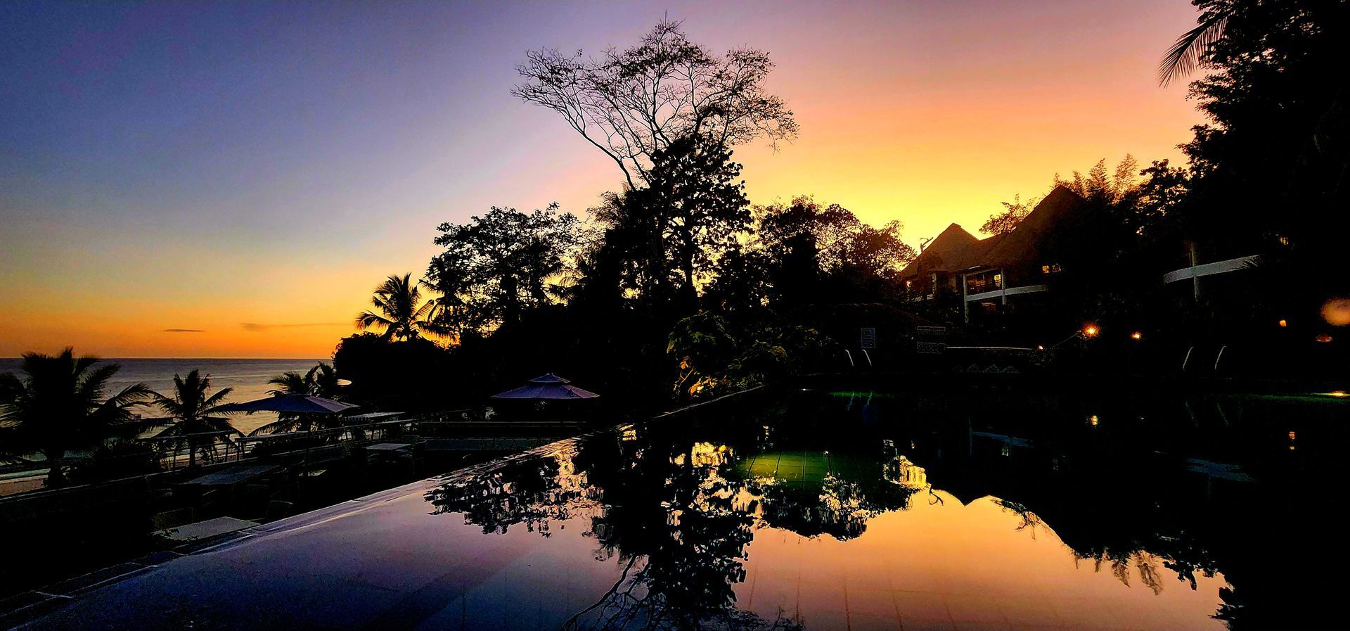 Sunset over a calm pool reflecting silhouettes of trees and a pink-orange sky