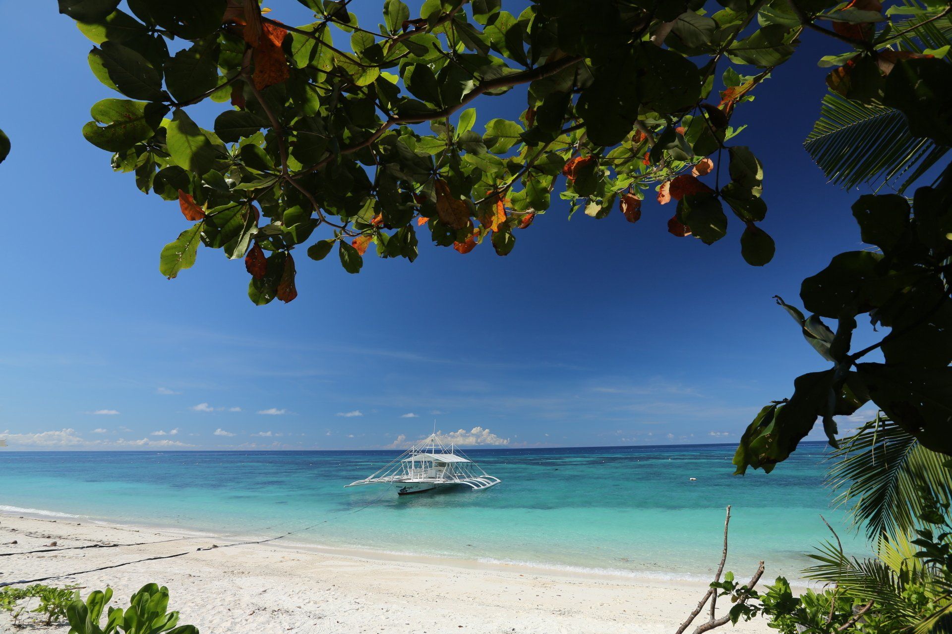 Tropical beach with turquoise water, white sand, and a small boat near shore, framed by palm leaves