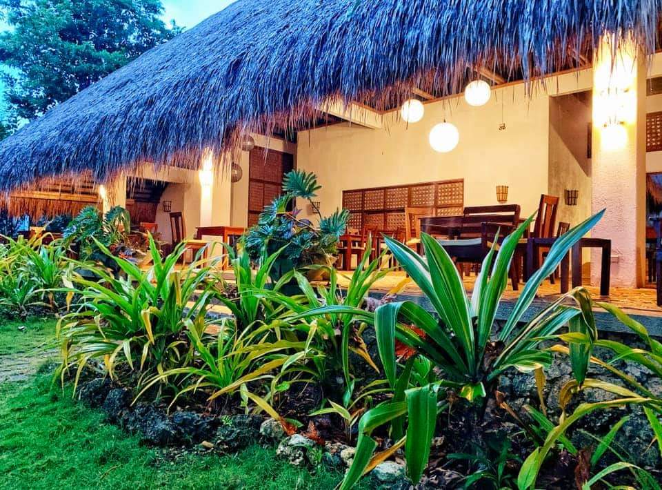 Thatched-roof tropical resort patio with warm lights and lush green plants at dusk
