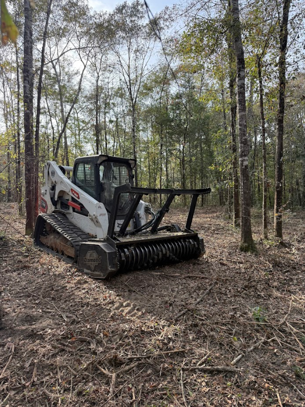 Bobcat skid-steer with a mulching head clearing brush in a forest.