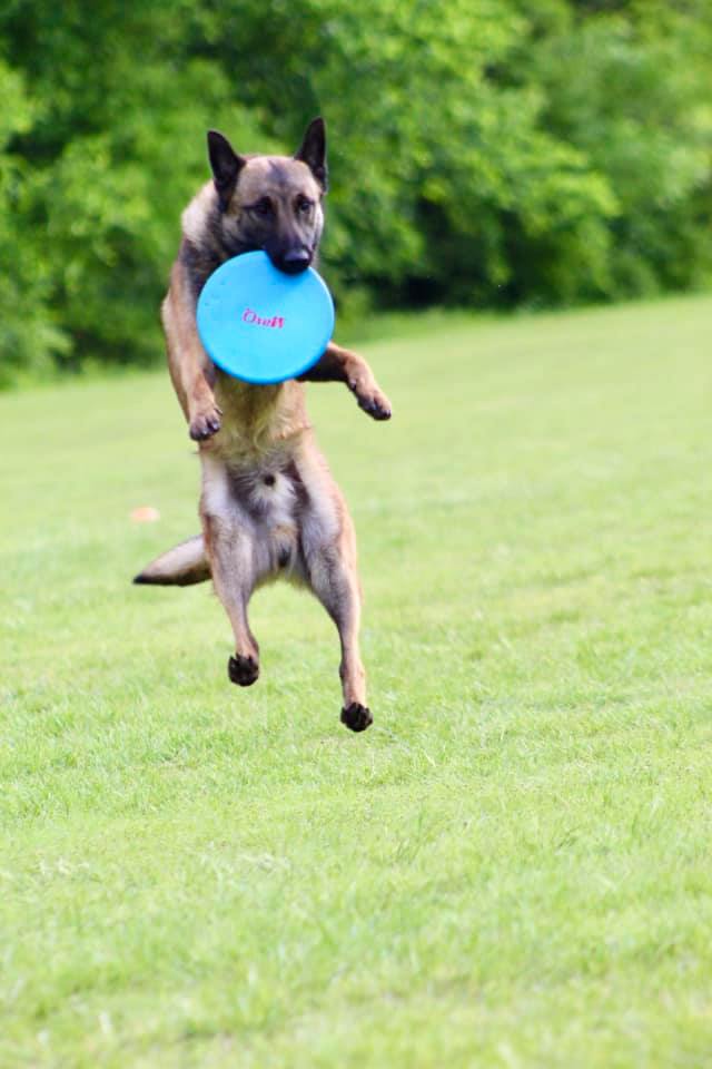 Audie Frisbee
