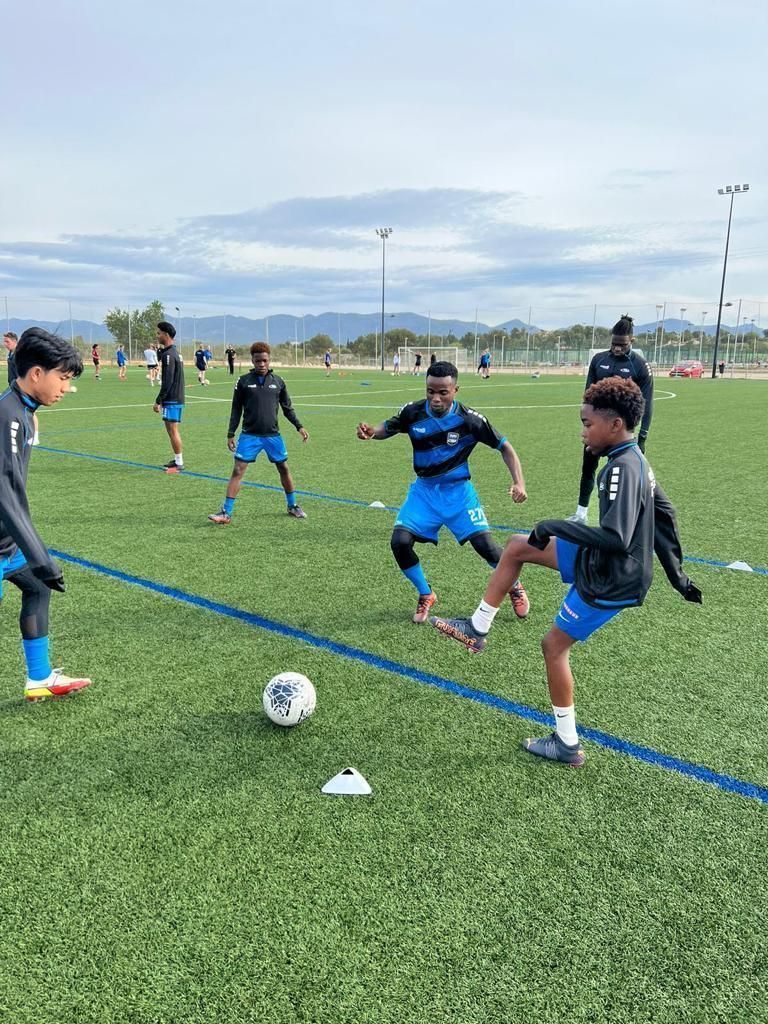 Youth soccer practice on a green field, players in blue and black training around a ball.