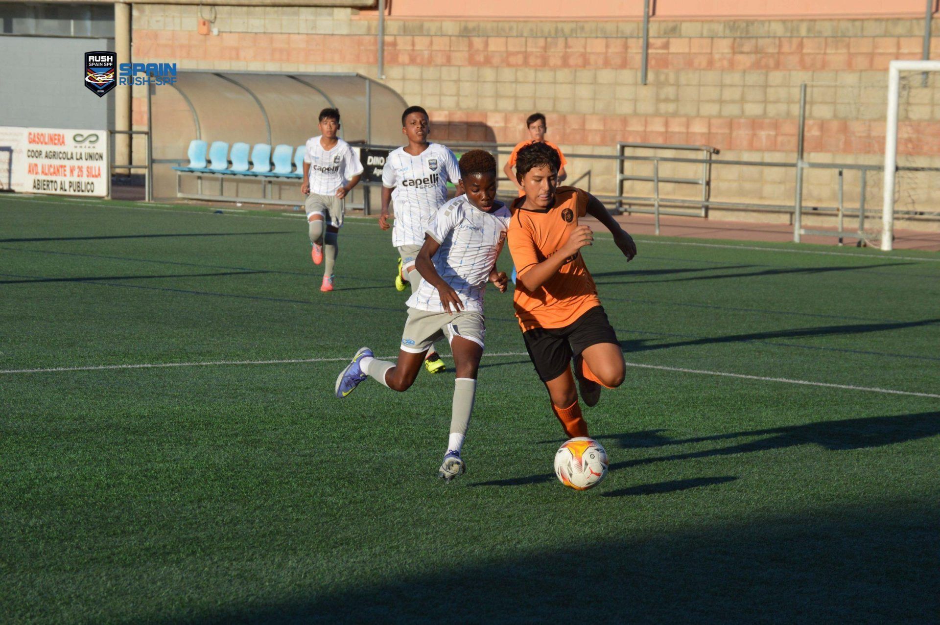 DETERMINANT COMPONENTS IN A HIGH PERFORMANCE ACADEMY,