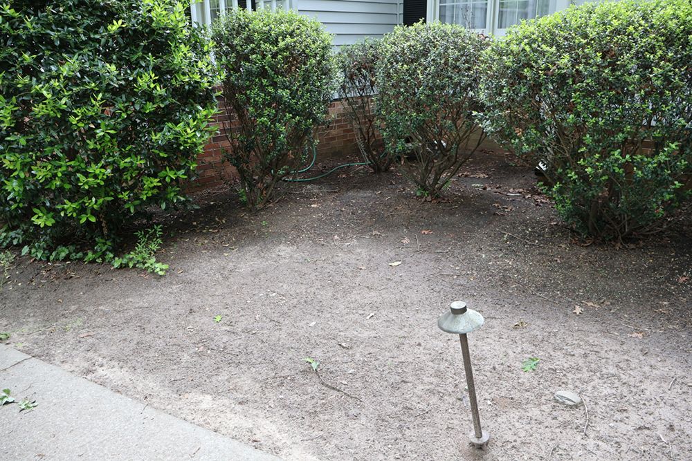 Empty garden bed in front of bushes, a light post, and a white house.