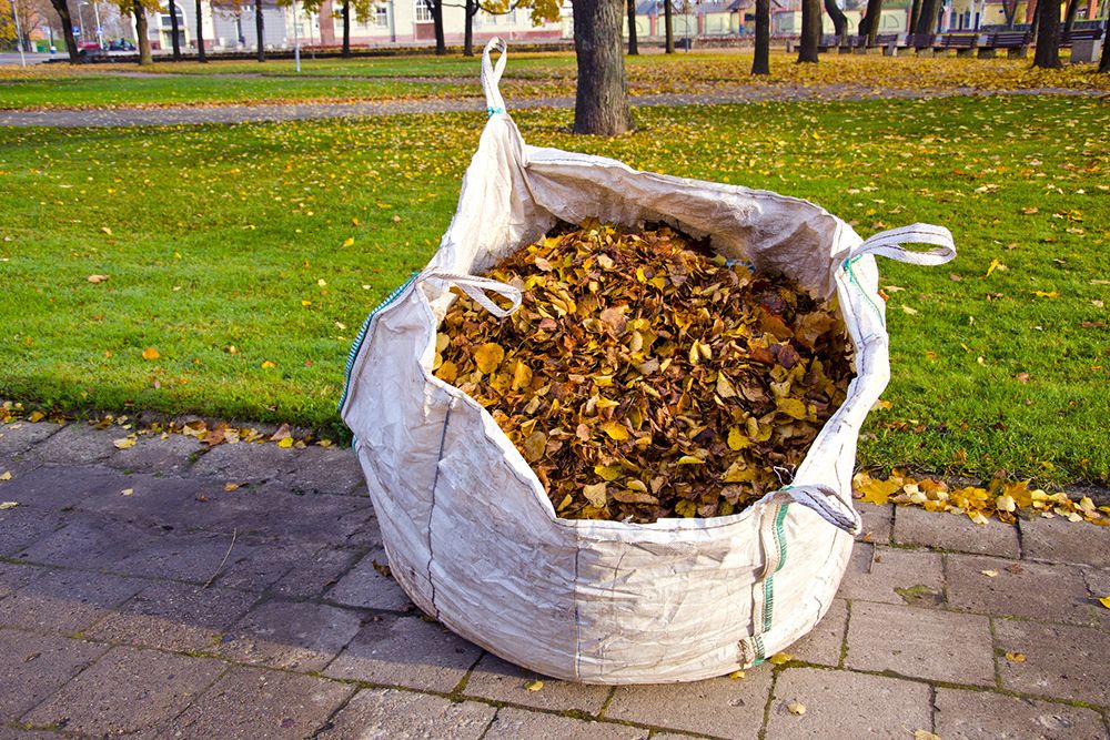 Large white bag overflowing with brown leaves on a sidewalk near a grassy area and trees.
