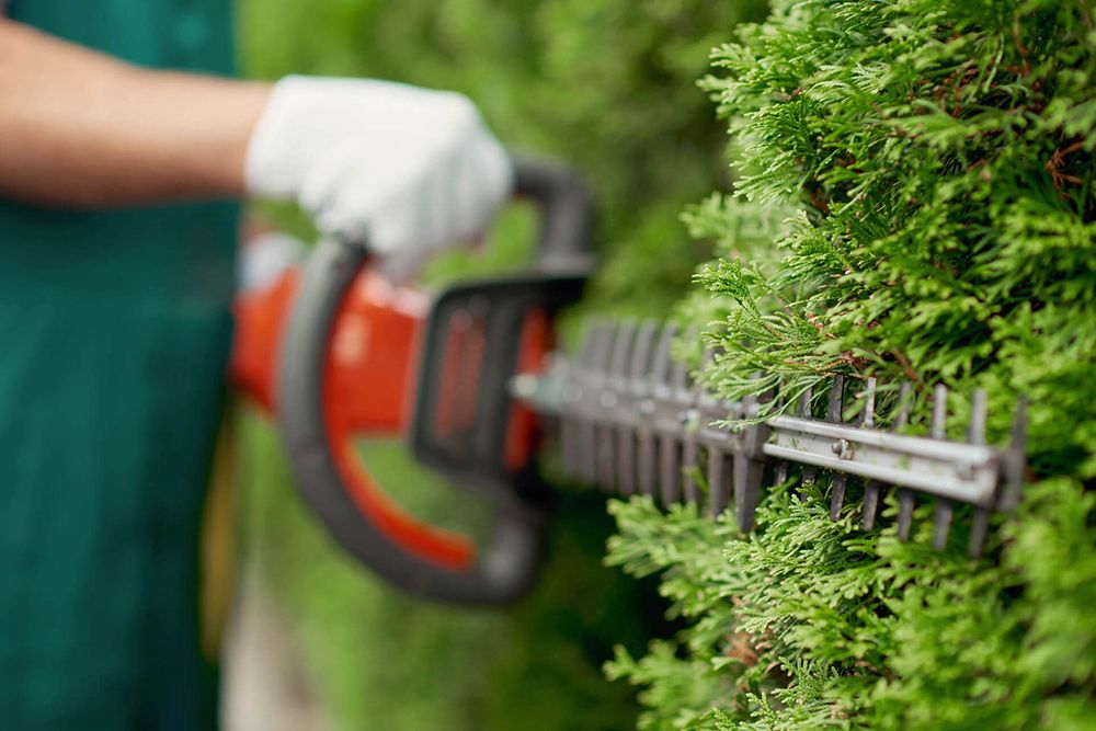 Person trimming a green hedge with an orange hedge trimmer. They are wearing a white glove.
