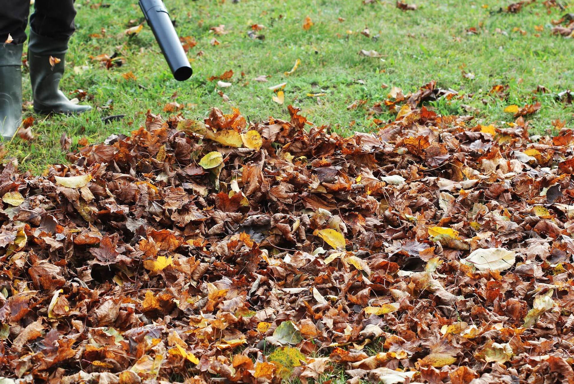 Person using a leaf blower to move a pile of fallen leaves on a grassy lawn.
