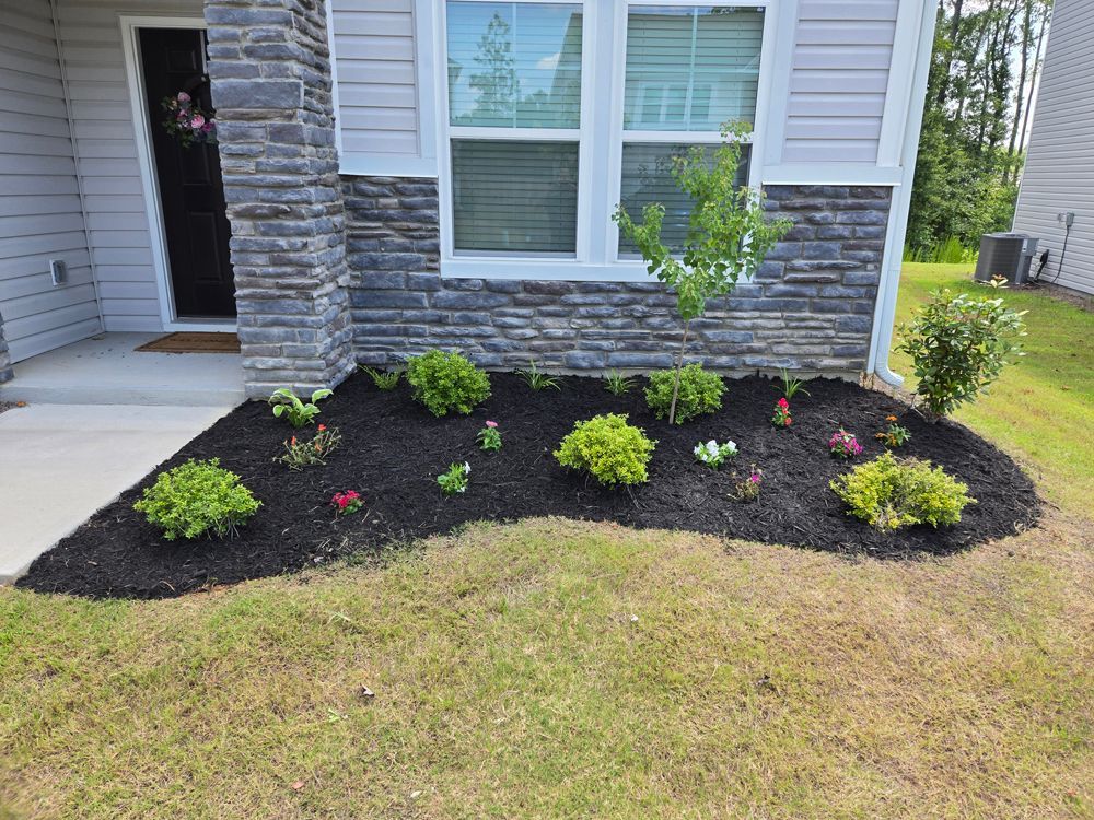 Flower bed with mulch and various green plants in front of a house with stone siding.