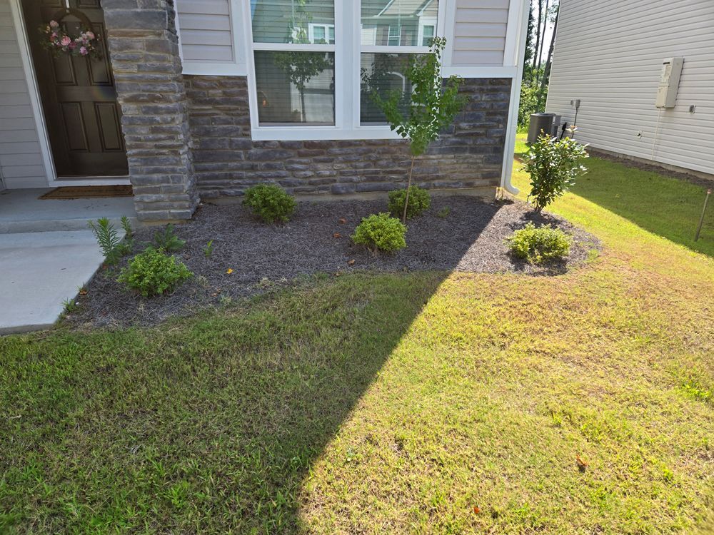 A house front yard with grass, bushes in a mulched bed, and a door with stone accents.
