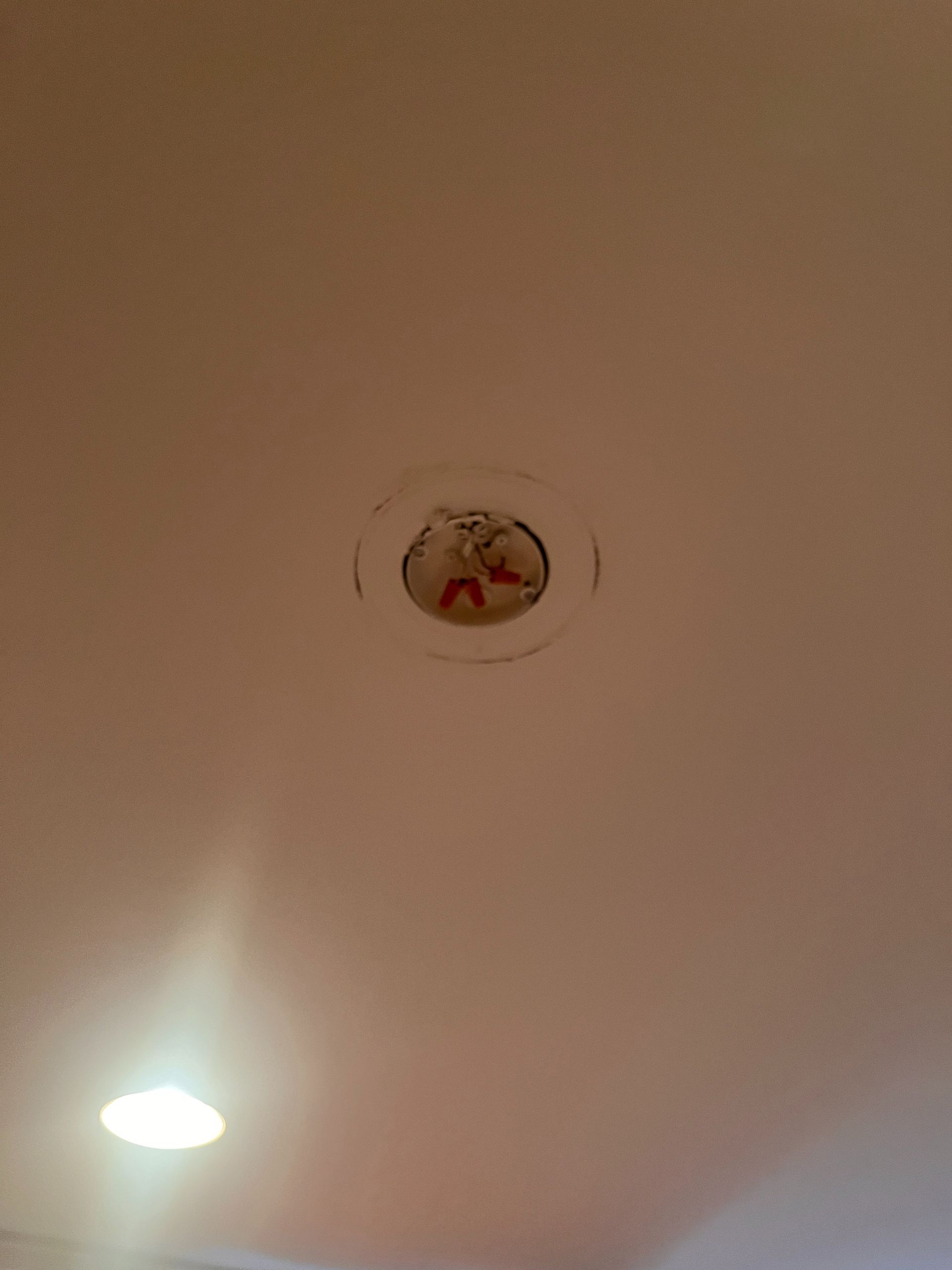 Ceiling with a recessed light and a smoke detector near the center.
