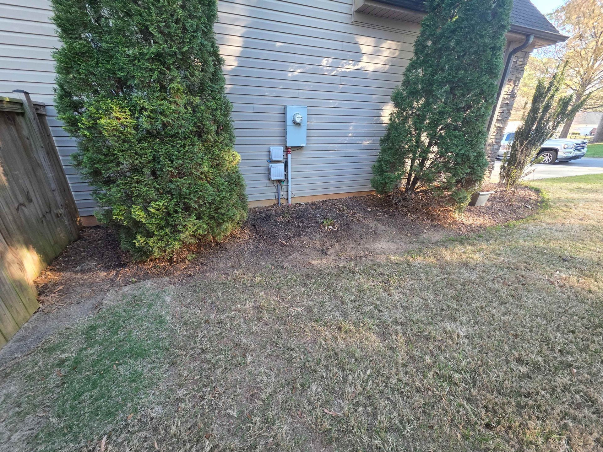 Side yard with two tall evergreen shrubs, house siding, utility meters, and a leaf-covered lawn.