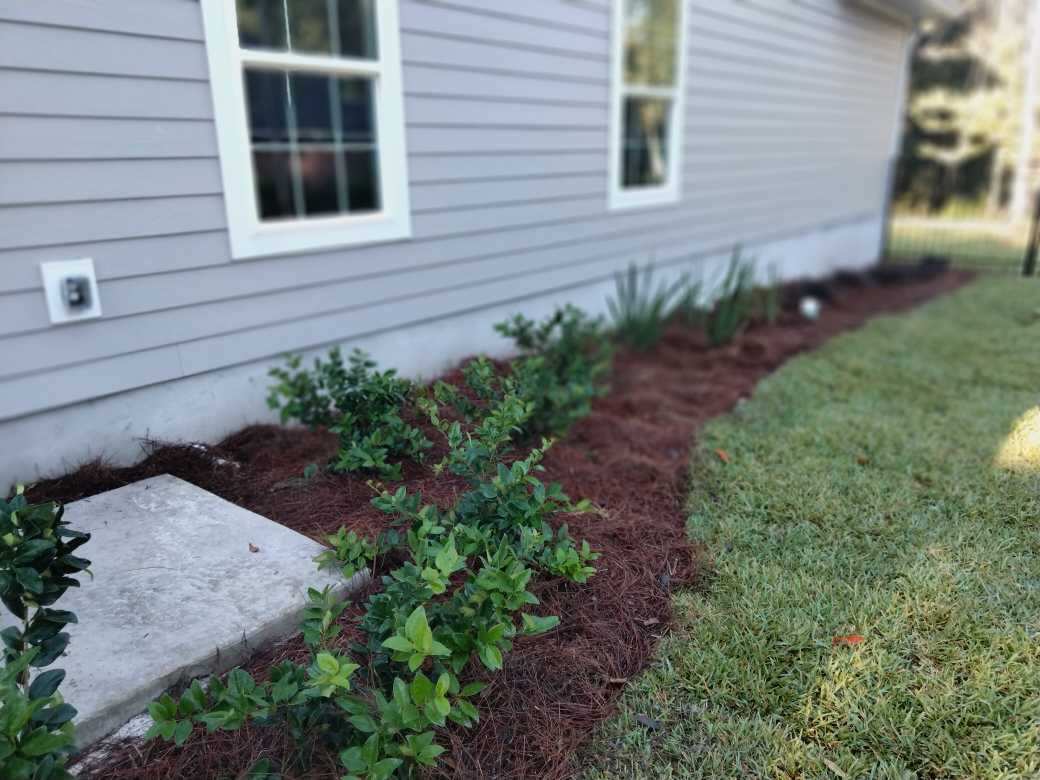 About Us Jacksonville Sod Masters Sod Installation in Jacksonville FL