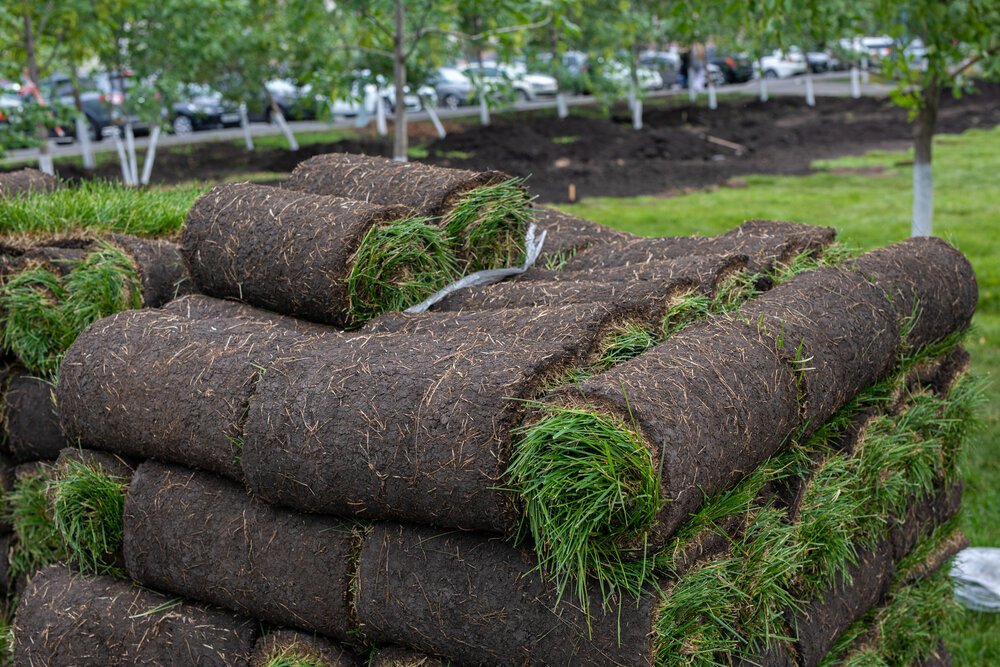 Sod Installation Jacksonville FL 1 Rated Sod Company in Jacksonville