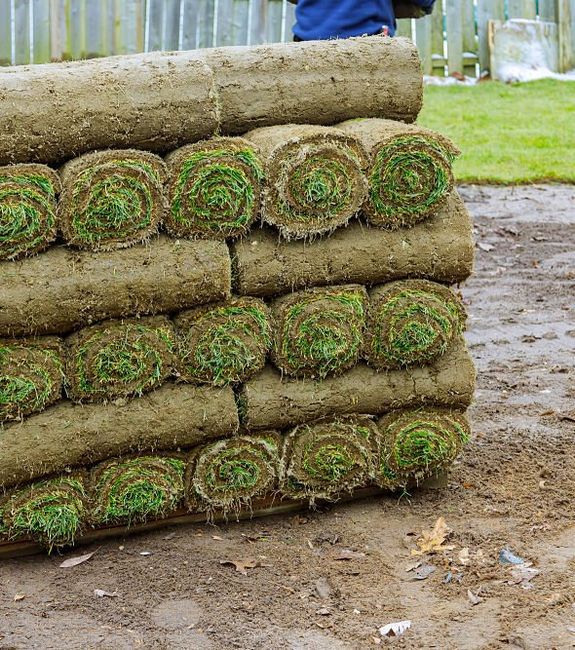 sod company jacksonville florida