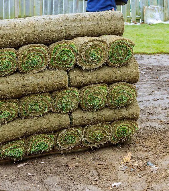 sod company palm valley florida