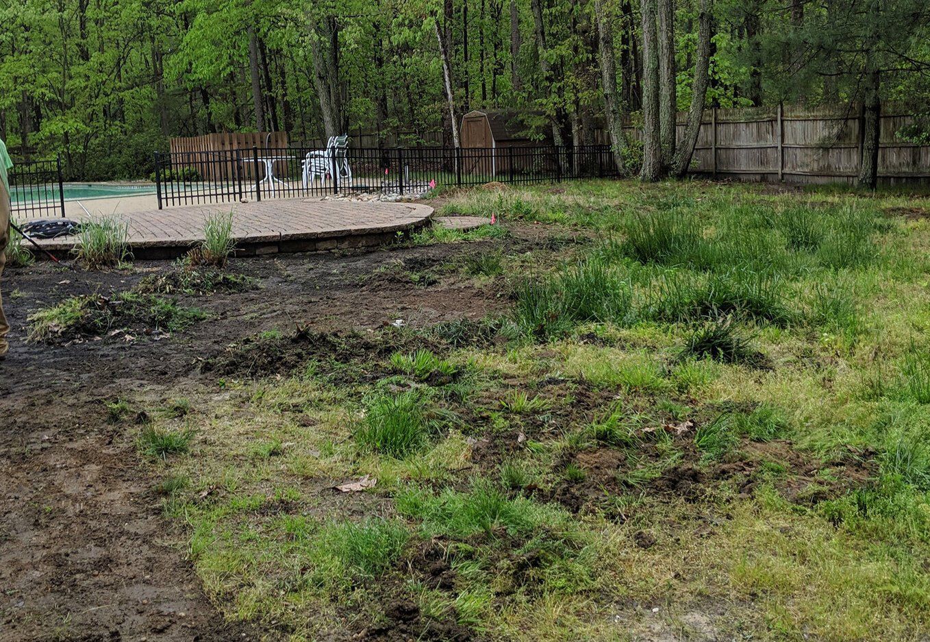 Can You Compost Sod
