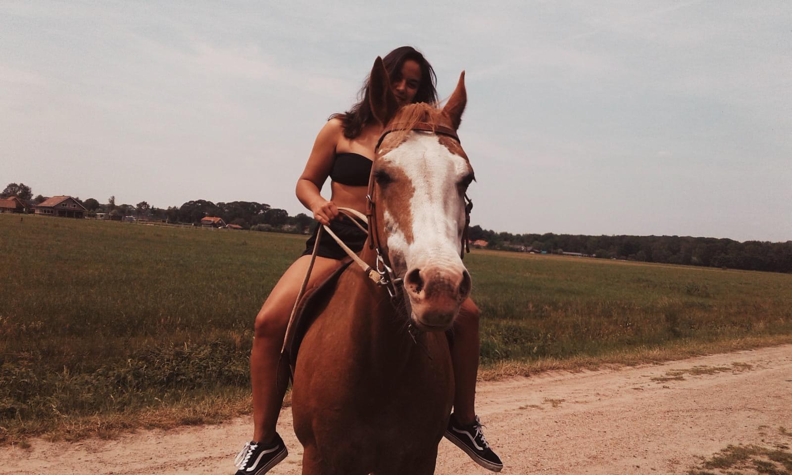 Journey on horseback